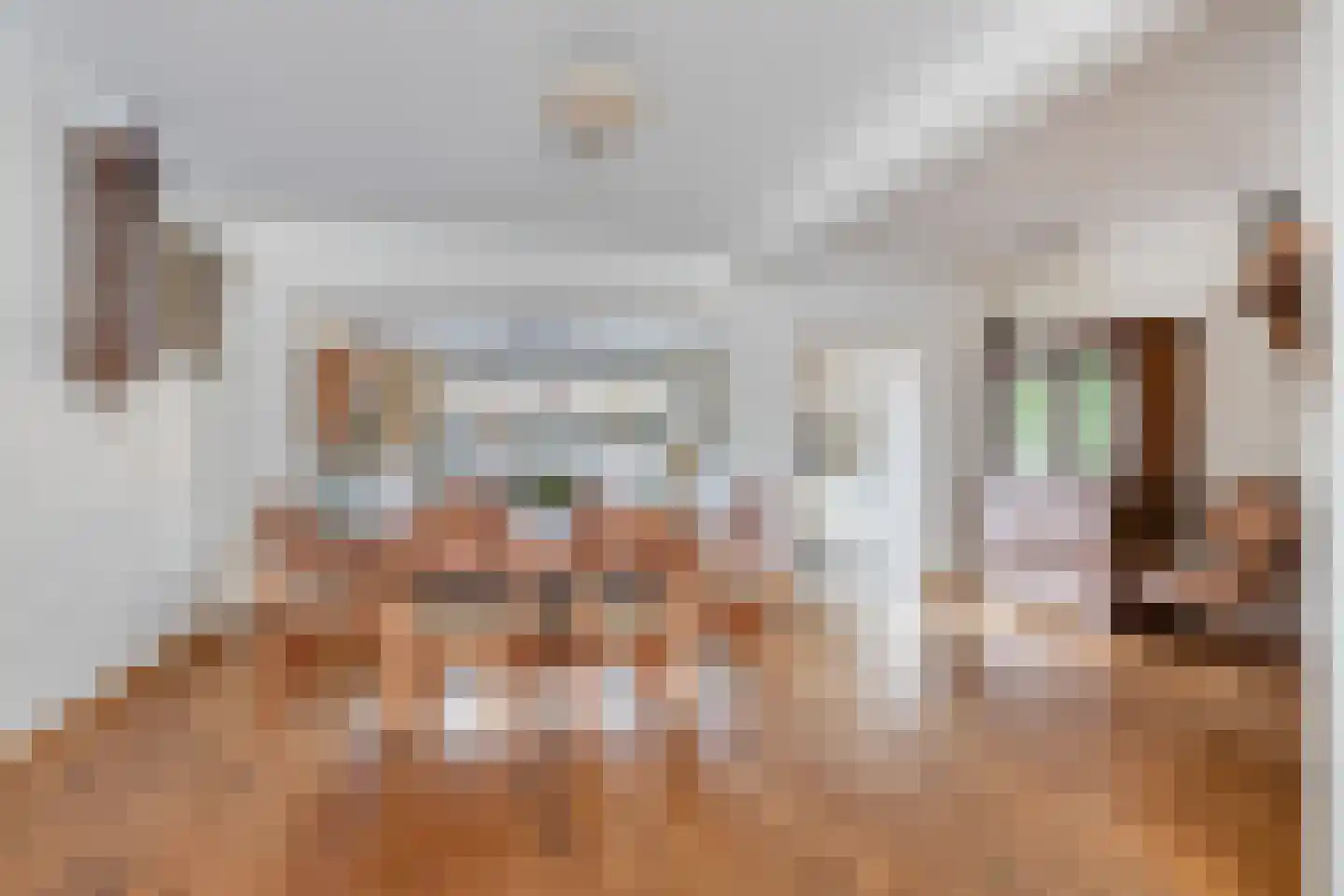 Weth. Lammersplantsoen 10 Budel-Schoot thumbnail 8