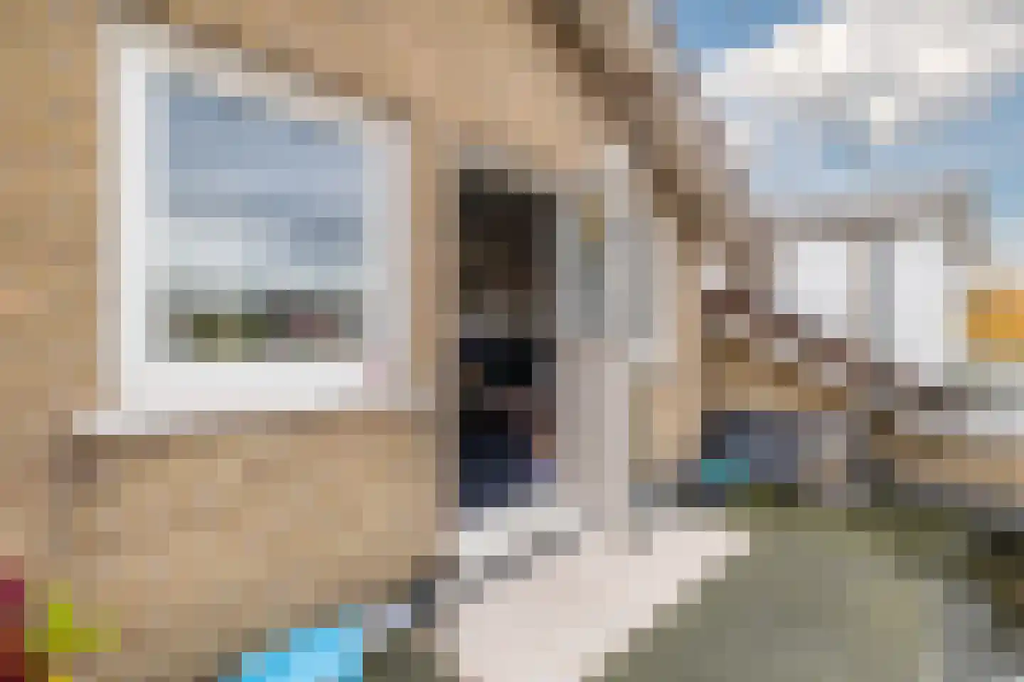 Weth.Nijboerstraat 1 Nieuwleusen thumbnail 15
