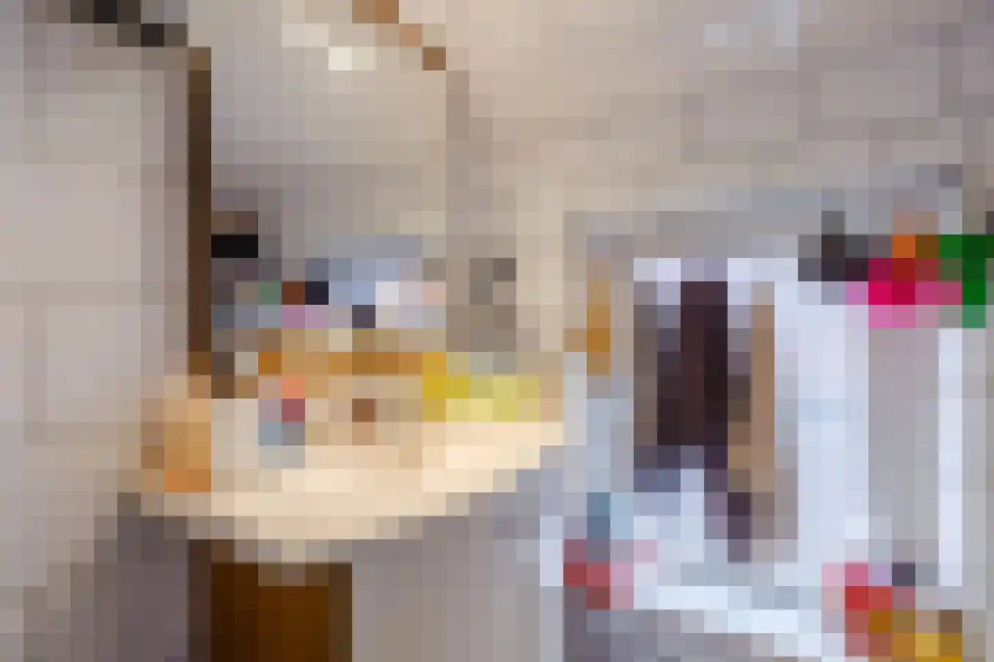 Weth.Nijboerstraat 1 Nieuwleusen thumbnail 18