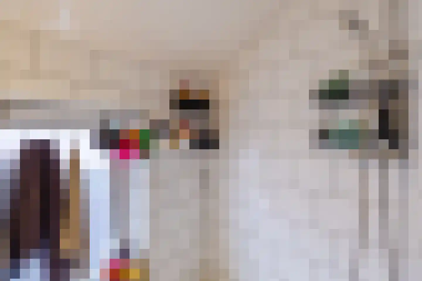 Weth.Nijboerstraat 1 Nieuwleusen thumbnail 19