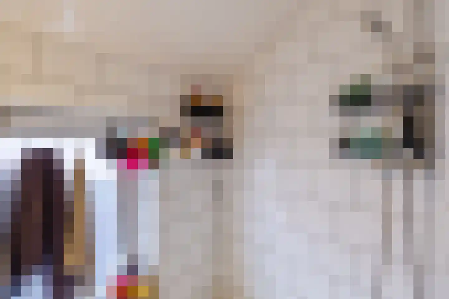 Weth.Nijboerstraat 1 Nieuwleusen thumbnail 20