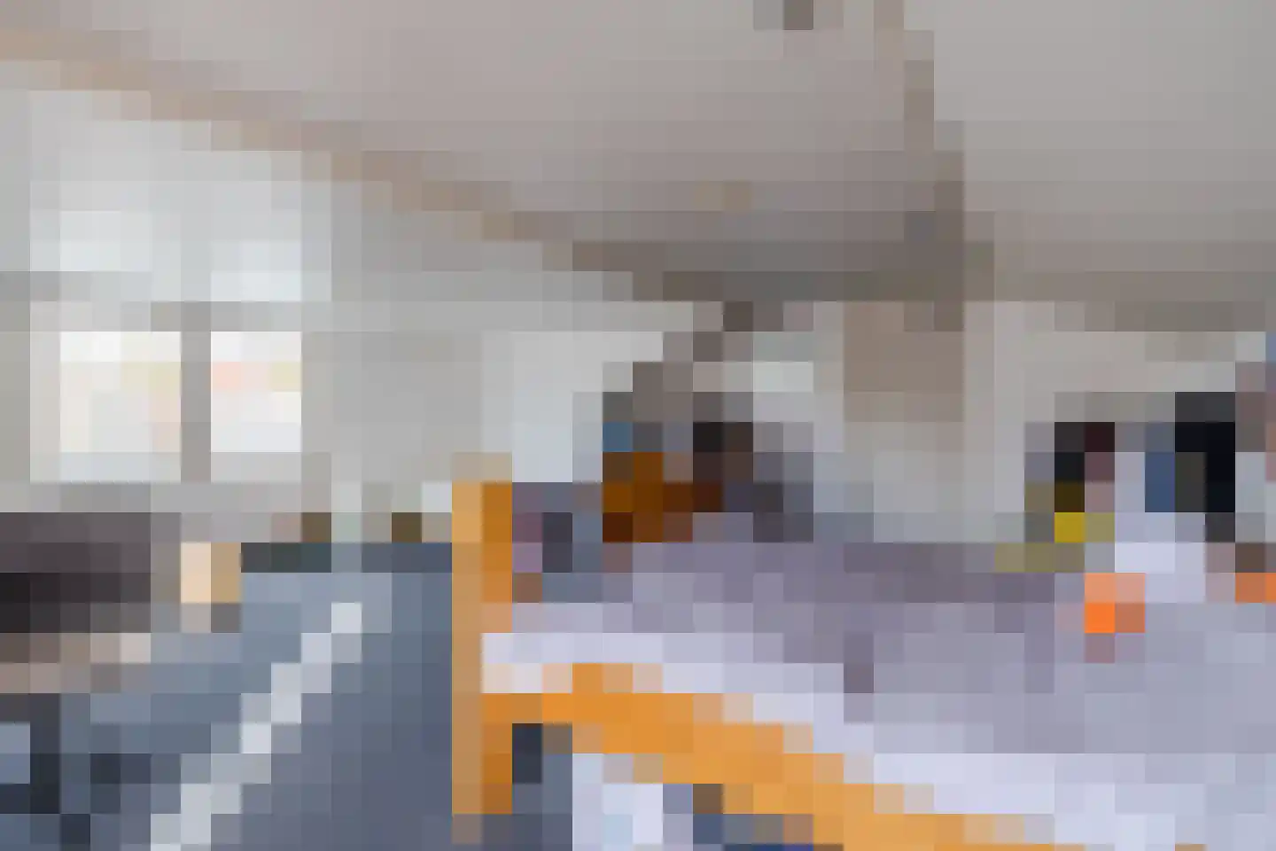 Weth.Nijboerstraat 1 Nieuwleusen thumbnail 21