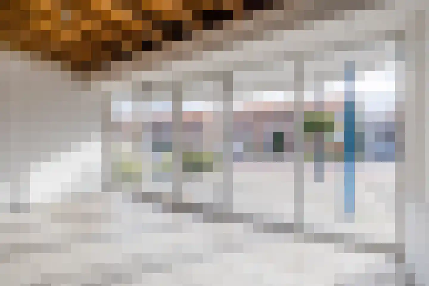 Weth.Nijboerstraat 1 Nieuwleusen thumbnail 30