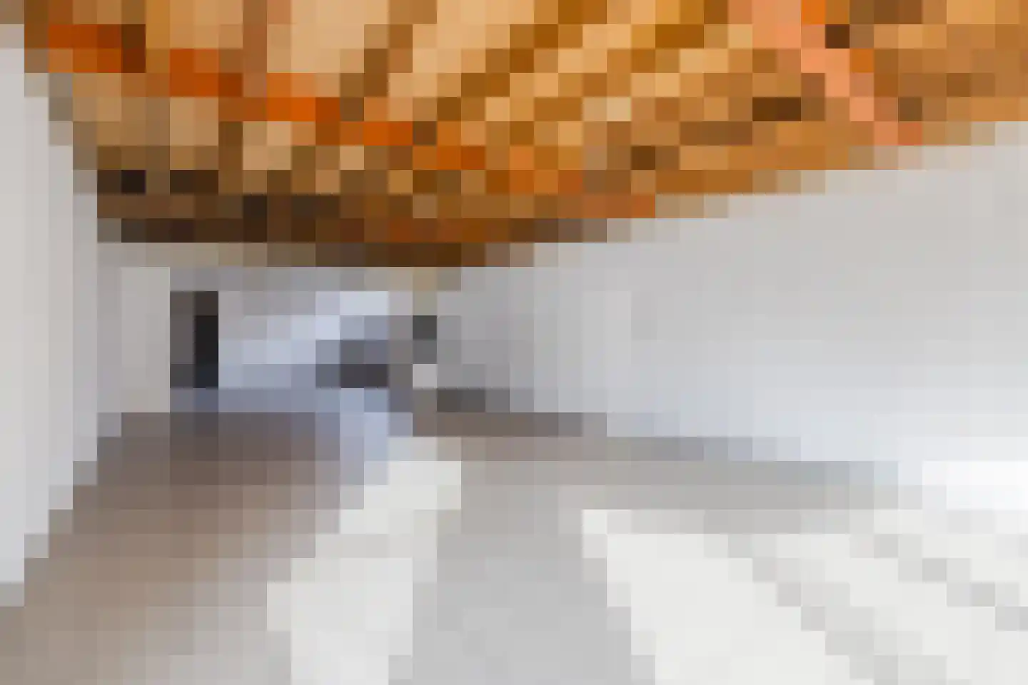 Weth.Nijboerstraat 1 Nieuwleusen thumbnail 32
