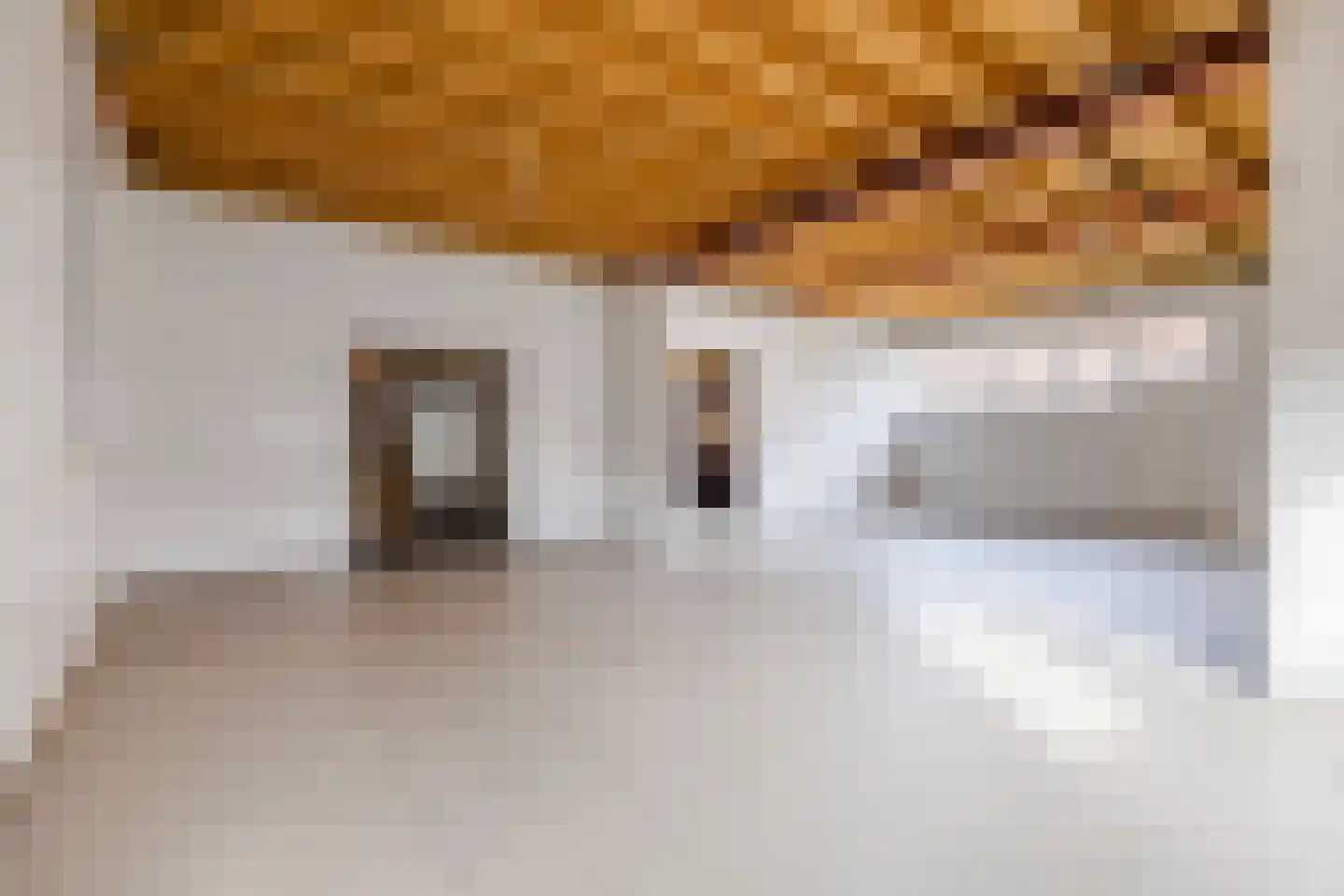 Weth.Nijboerstraat 1 Nieuwleusen thumbnail 34