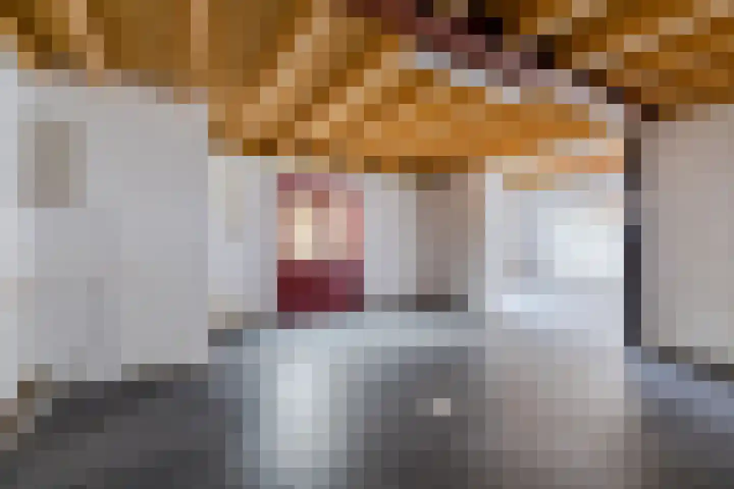 Weth.Nijboerstraat 1 Nieuwleusen thumbnail 36