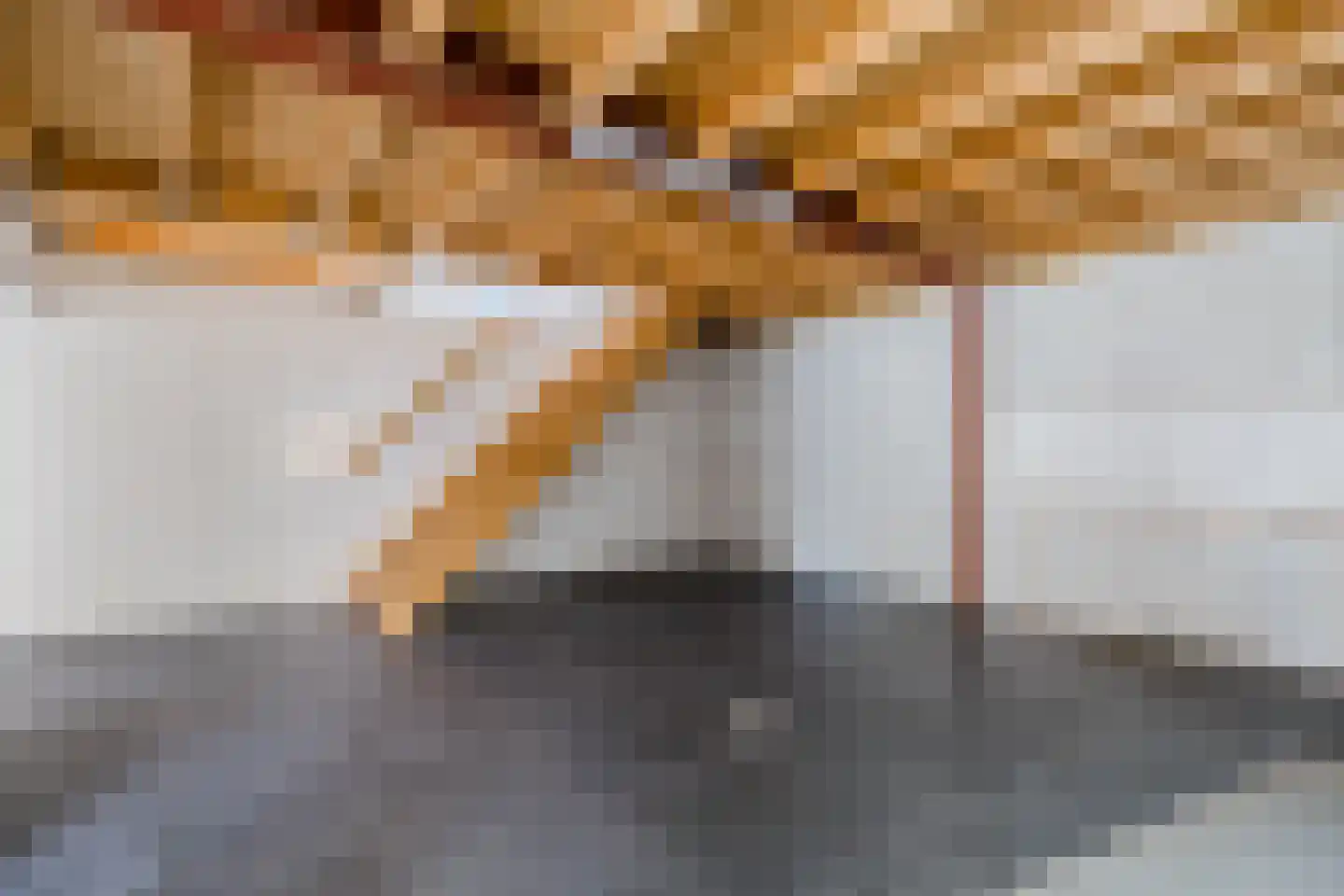 Weth.Nijboerstraat 1 Nieuwleusen thumbnail 38