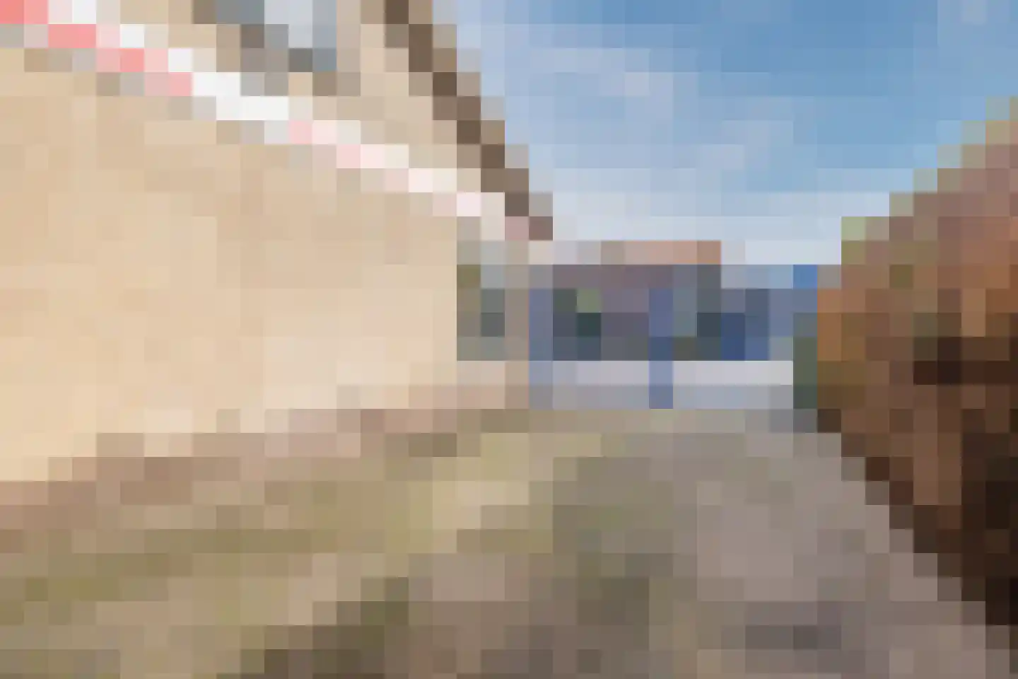 Weth.Nijboerstraat 1 Nieuwleusen thumbnail 43