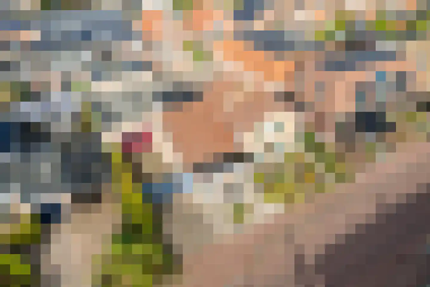 Weth.Nijboerstraat 1 Nieuwleusen thumbnail 45
