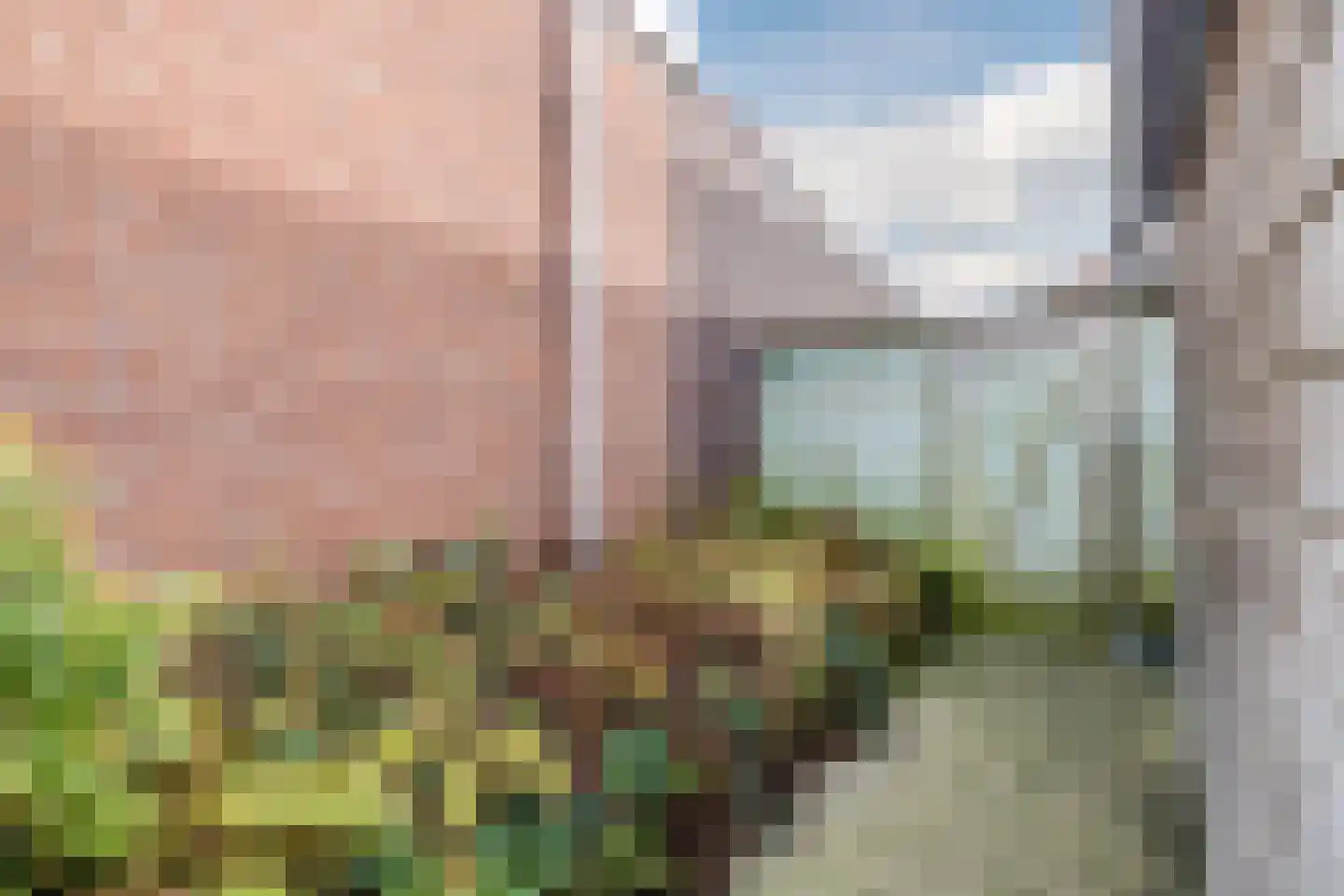 Weth.Nijboerstraat 1 Nieuwleusen thumbnail 48