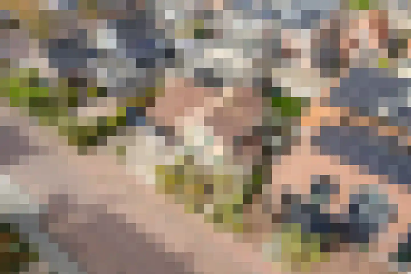 Weth.Nijboerstraat 1 Nieuwleusen thumbnail 49