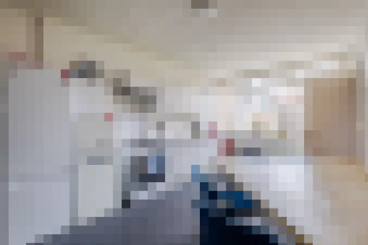Weth.Nijboerstraat 1 Nieuwleusen thumbnail 8