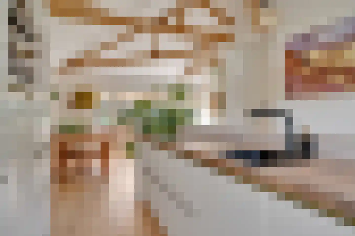 Weth.Nijboerstraat 57 Nieuwleusen thumbnail 15