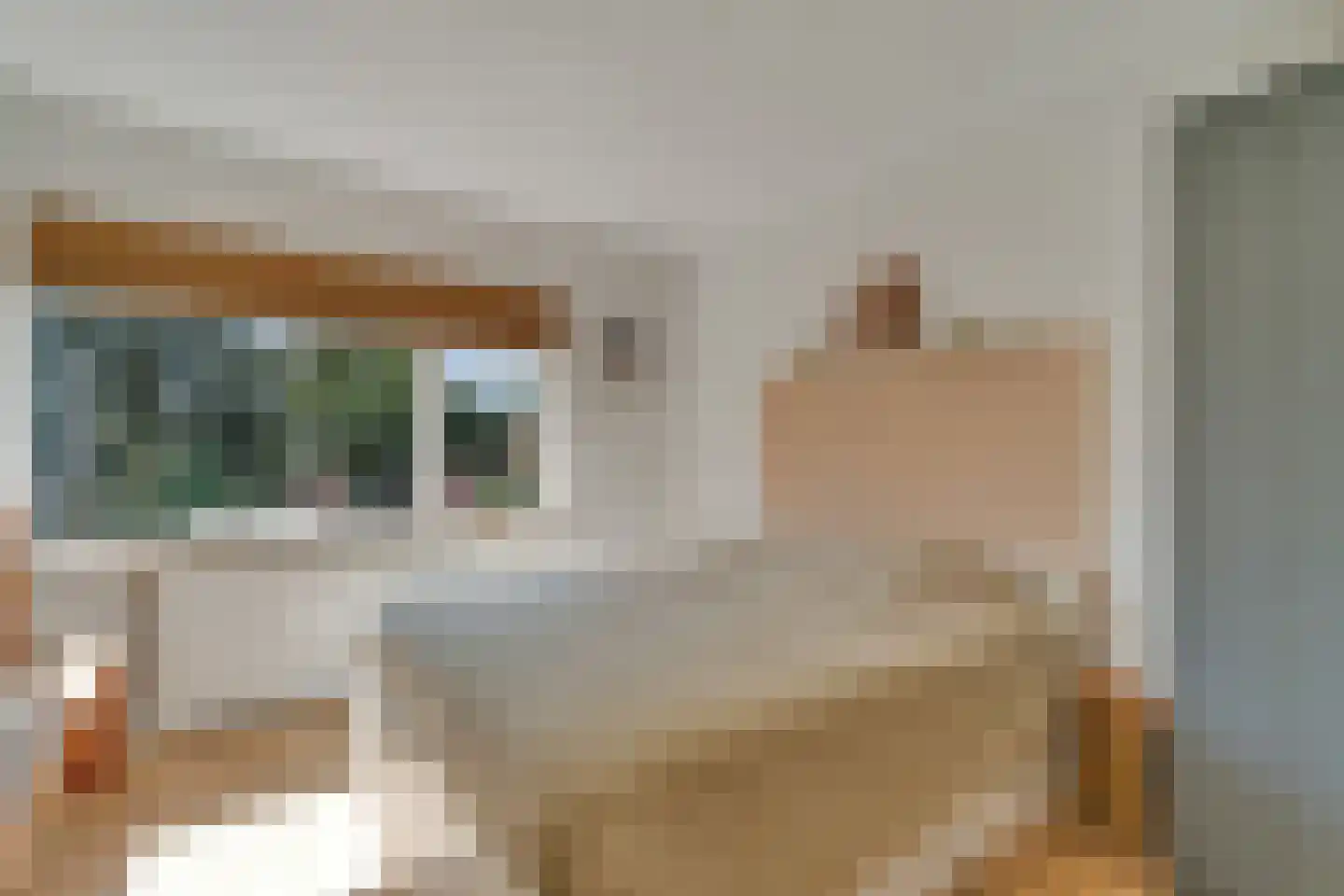 Weth.Nijboerstraat 57 Nieuwleusen thumbnail 19