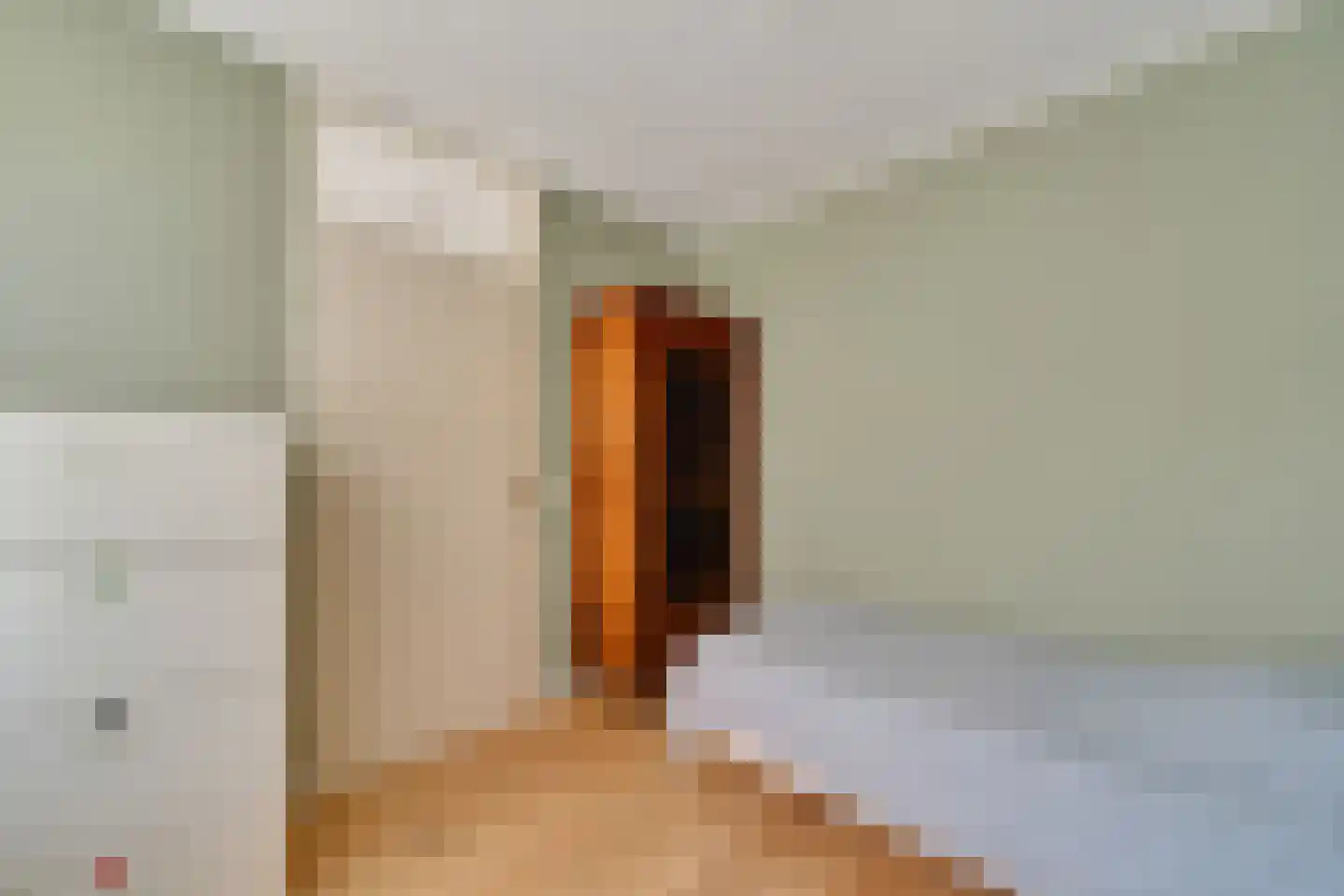 Weth.Nijboerstraat 57 Nieuwleusen thumbnail 23