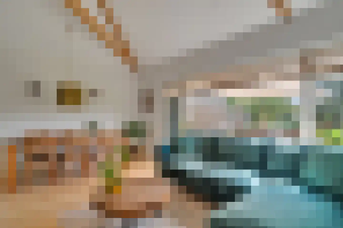 Weth.Nijboerstraat 57 Nieuwleusen thumbnail 4