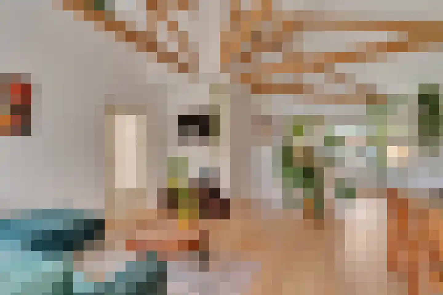 Weth.Nijboerstraat 57 Nieuwleusen thumbnail 5