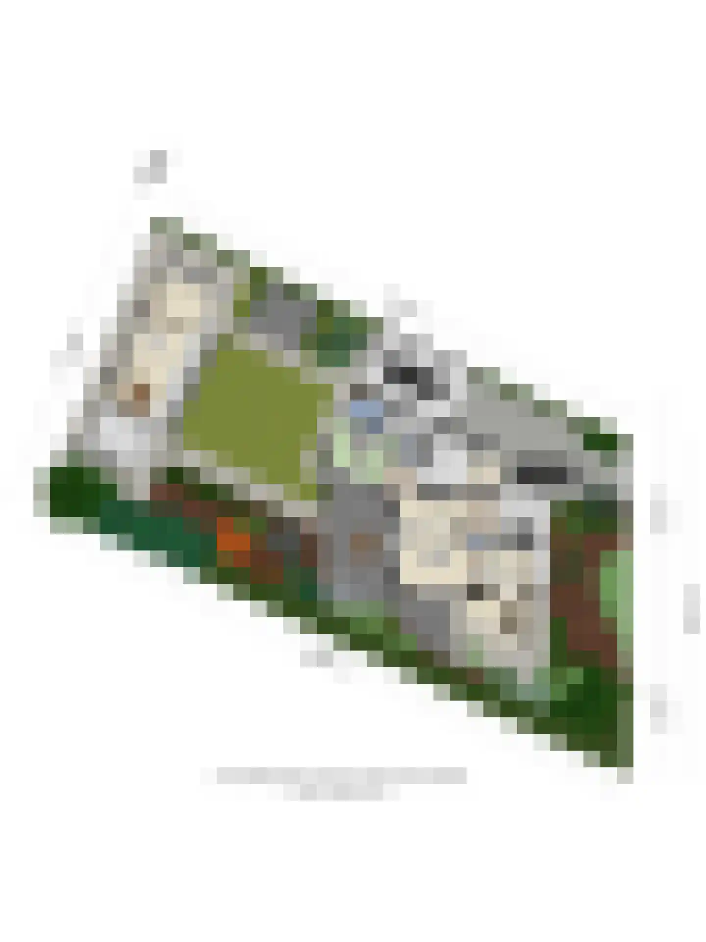 Weth. Pijsstraat 22 Etten-Leur thumbnail 71