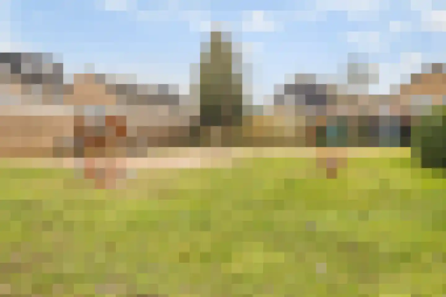 Weth R A Wieggersstraat 39 Giesbeek thumbnail 22