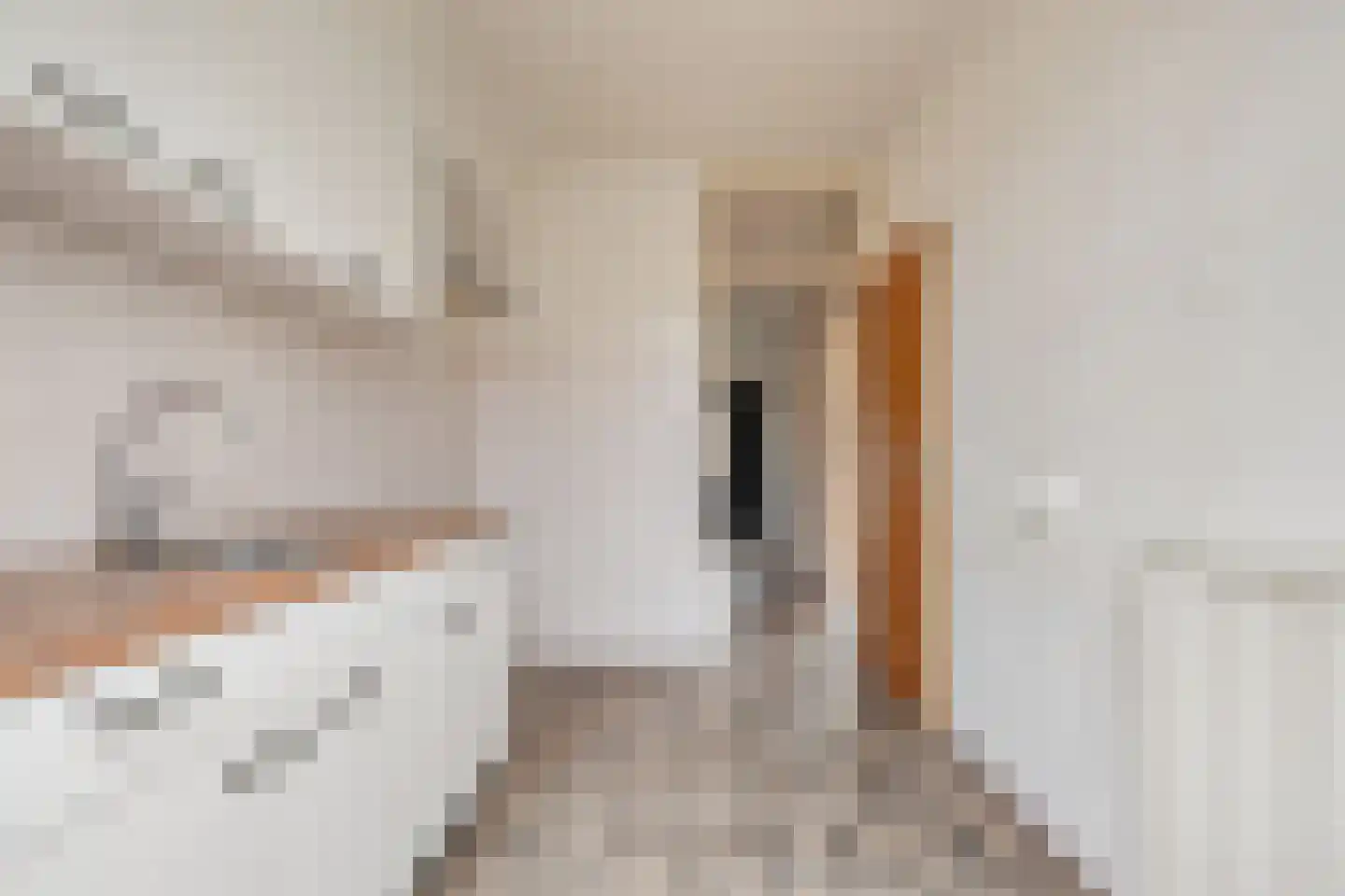 Weth R A Wieggersstraat 39 Giesbeek thumbnail 6