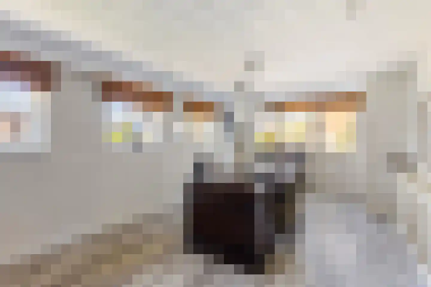 Weth. Van der Veldenweg 7 Numansdorp thumbnail 27