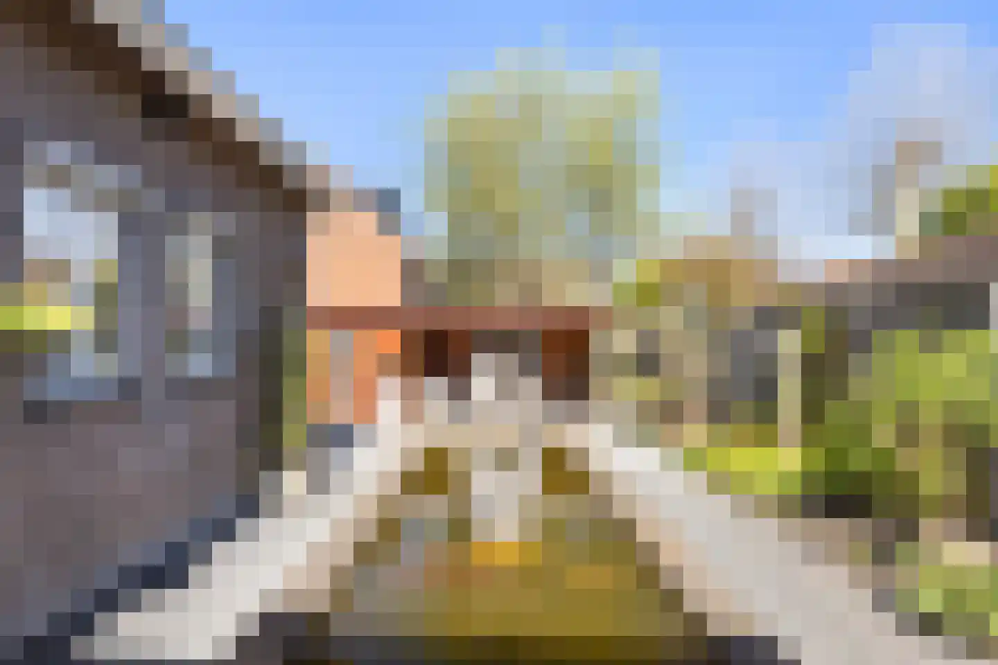 Weth. Van der Veldenweg 7 Numansdorp thumbnail 31