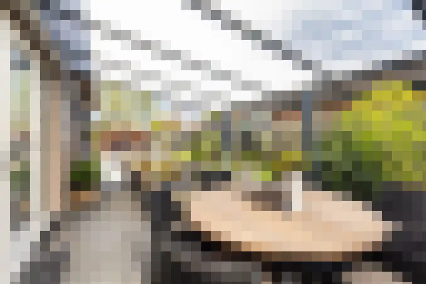 Weth. Van der Veldenweg 7 Numansdorp thumbnail 32