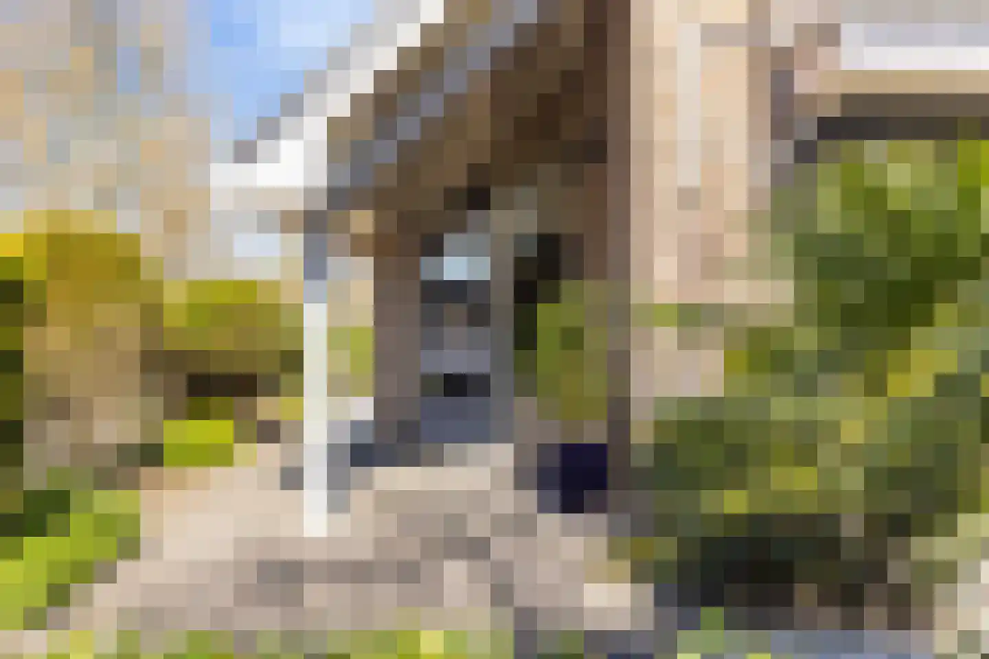 Weth. Van der Veldenweg 7 Numansdorp thumbnail 5