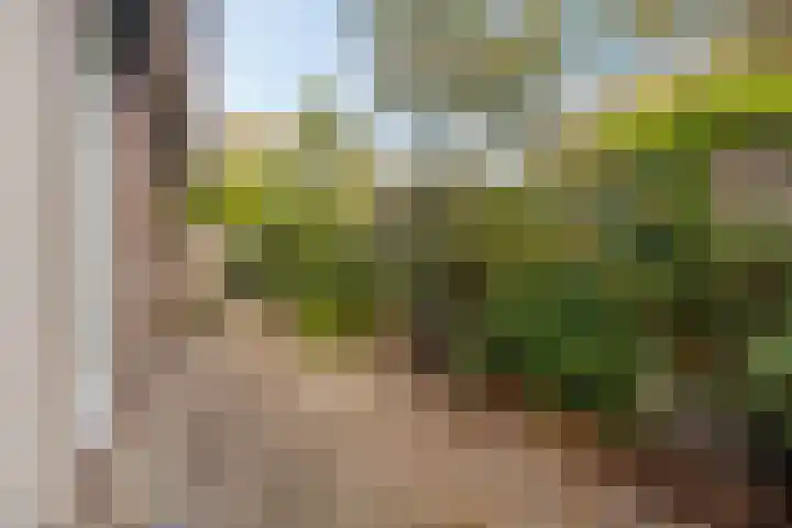 Weth. Van der Veldenweg 9 Numansdorp thumbnail 30