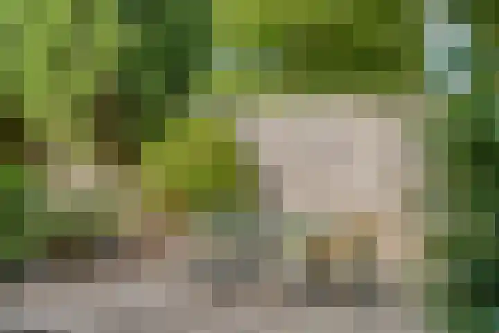 Weth. Van der Veldenweg 9 Numansdorp thumbnail 31