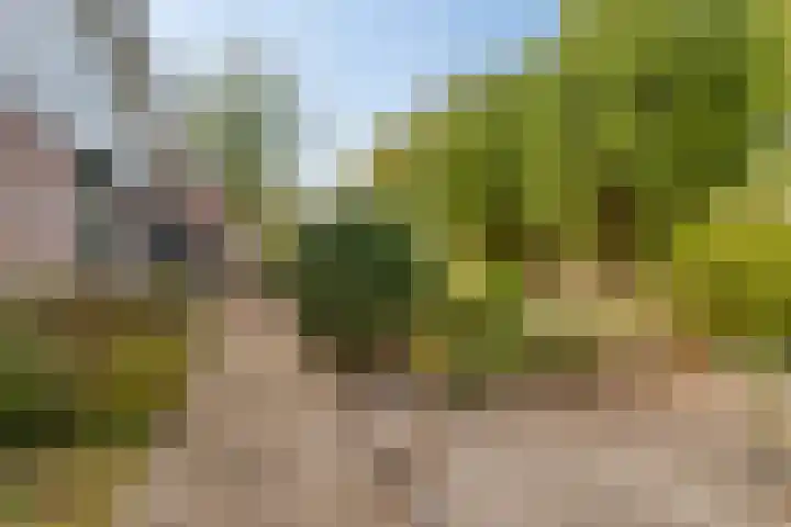 Weth. Van der Veldenweg 9 Numansdorp thumbnail 32