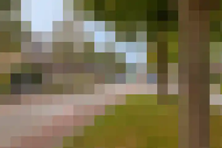 Weth. Van der Veldenweg 9 Numansdorp thumbnail 35