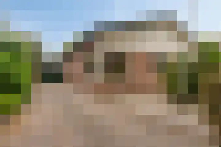 Weth. Van der Veldenweg 9 Numansdorp thumbnail 5