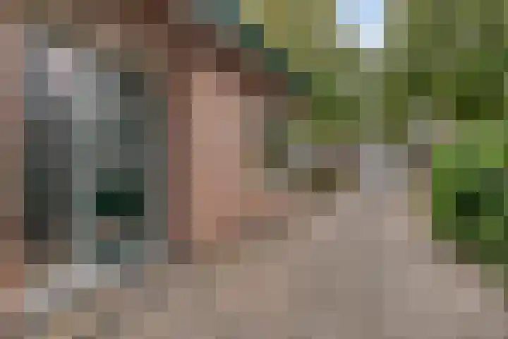 Weth. Van der Veldenweg 9 Numansdorp thumbnail 6