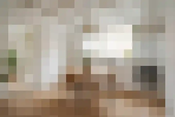 Weth vd Schansstraat 18 Well thumbnail 16