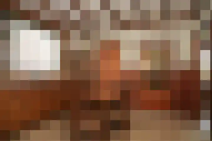 Weth vd Schansstraat 18 Well thumbnail 19