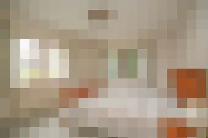 Weth vd Schansstraat 18 Well thumbnail 21