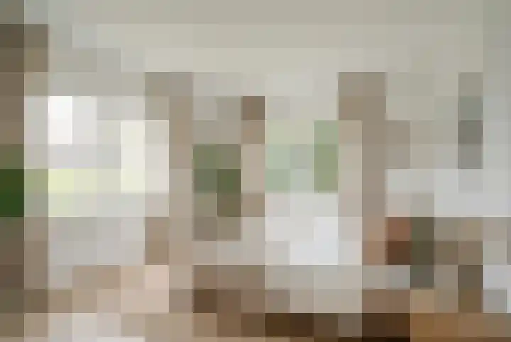 Weth vd Schansstraat 18 Well thumbnail 22