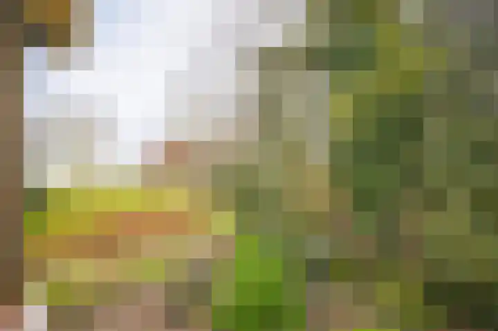 Weth vd Schansstraat 18 Well thumbnail 23