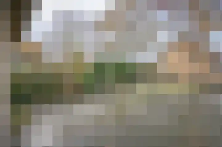Weth vd Schansstraat 18 Well thumbnail 28