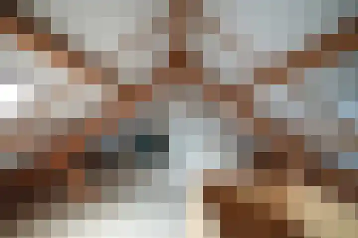 Weth vd Schansstraat 18 Well thumbnail 30