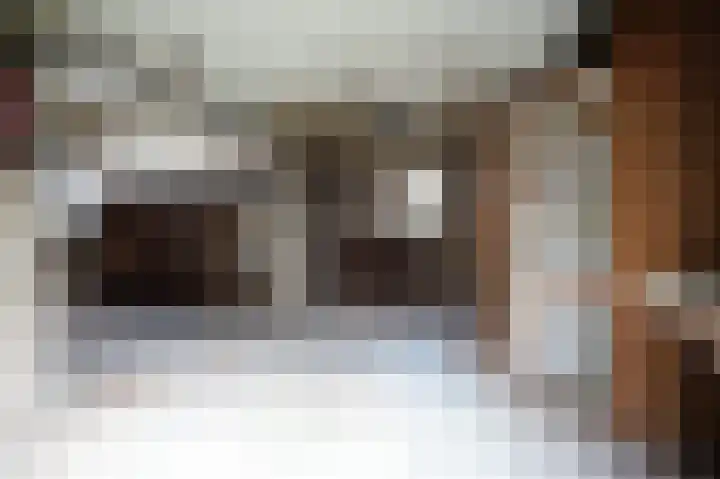 Weth vd Schansstraat 18 Well thumbnail 32