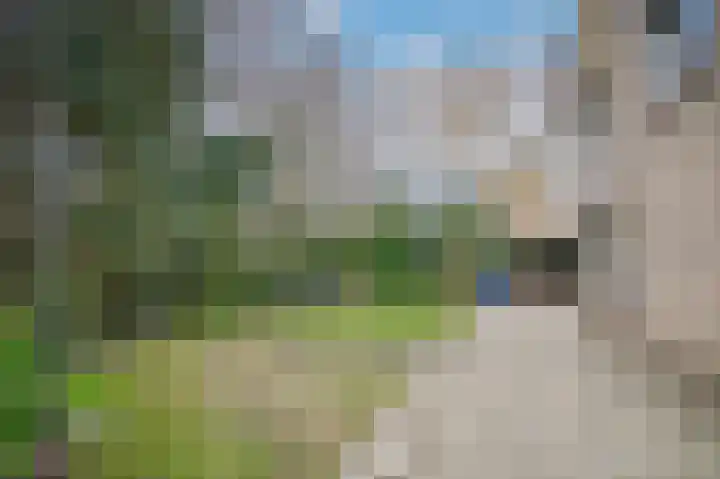 Weth vd Schansstraat 18 Well thumbnail 36