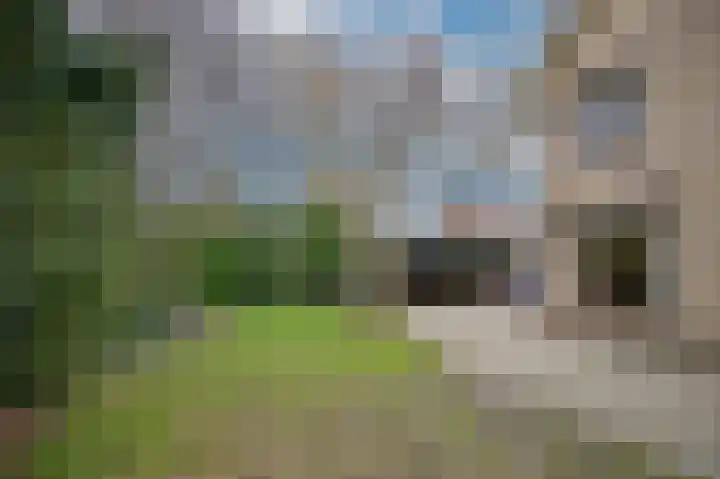 Weth vd Schansstraat 18 Well thumbnail 37