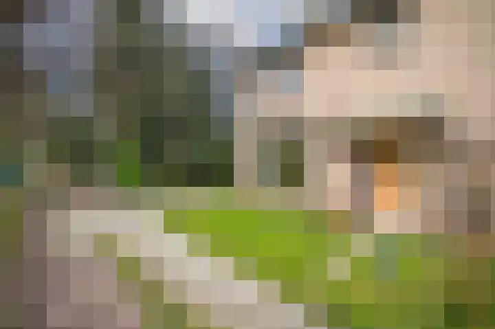 Weth vd Schansstraat 18 Well thumbnail 38