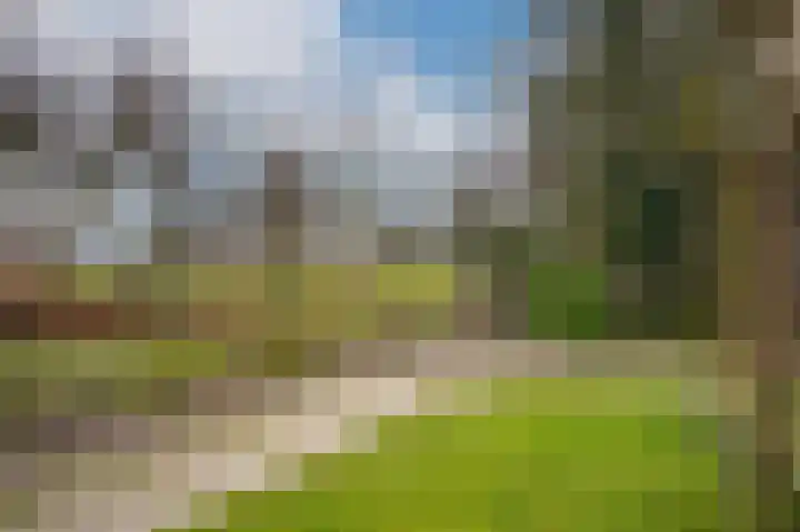 Weth vd Schansstraat 18 Well thumbnail 40