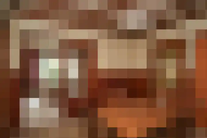 Weth vd Schansstraat 18 Well thumbnail 7