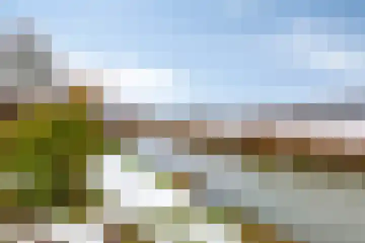 Weth. Veldwachterhof 11 Diepenveen thumbnail 16