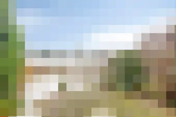 Weth. Veldwachterhof 11 Diepenveen thumbnail 17