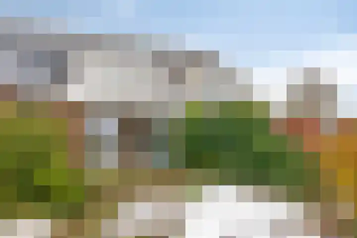 Weth. Veldwachterhof 11 Diepenveen thumbnail 4